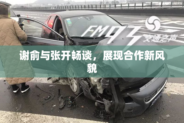 谢俞与张开畅谈，展现合作新风貌