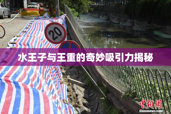水王子与王重的奇妙吸引力揭秘