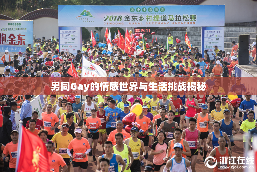 男同Gay的情感世界与生活挑战揭秘