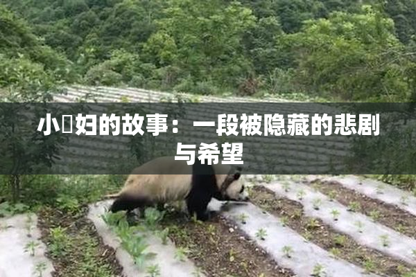 小婬妇的故事：一段被隐藏的悲剧与希望