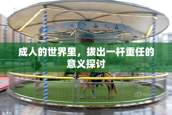 成人的世界里，拔出一杆重任的意义探讨