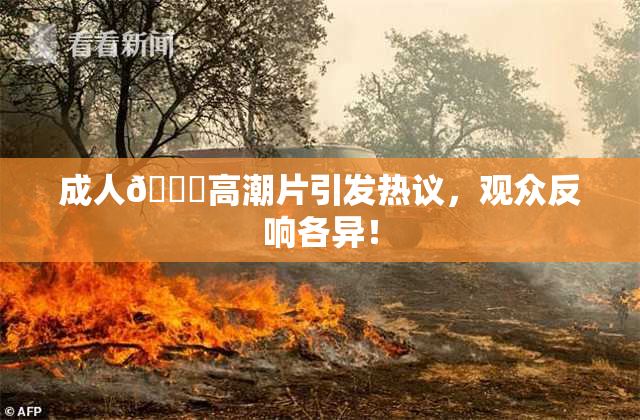 成人🔞高潮片引发热议，观众反响各异！
