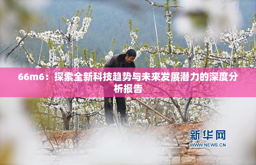 66m6：探索全新科技趋势与未来发展潜力的深度分析报告