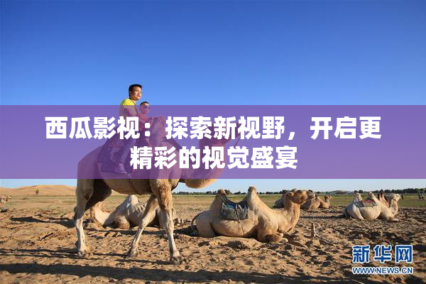 西瓜影视：探索新视野，开启更精彩的视觉盛宴
