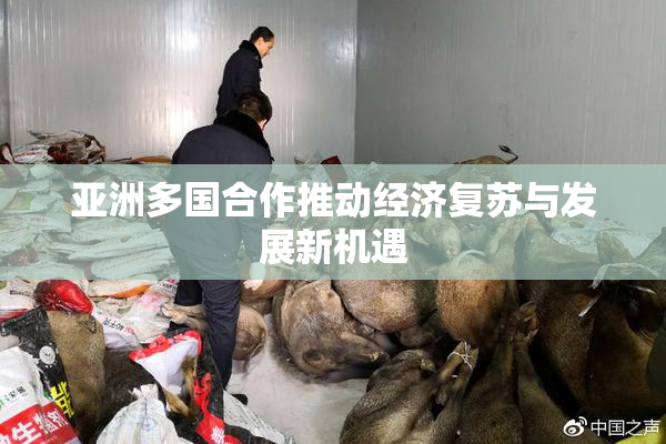 亚洲多国合作推动经济复苏与发展新机遇