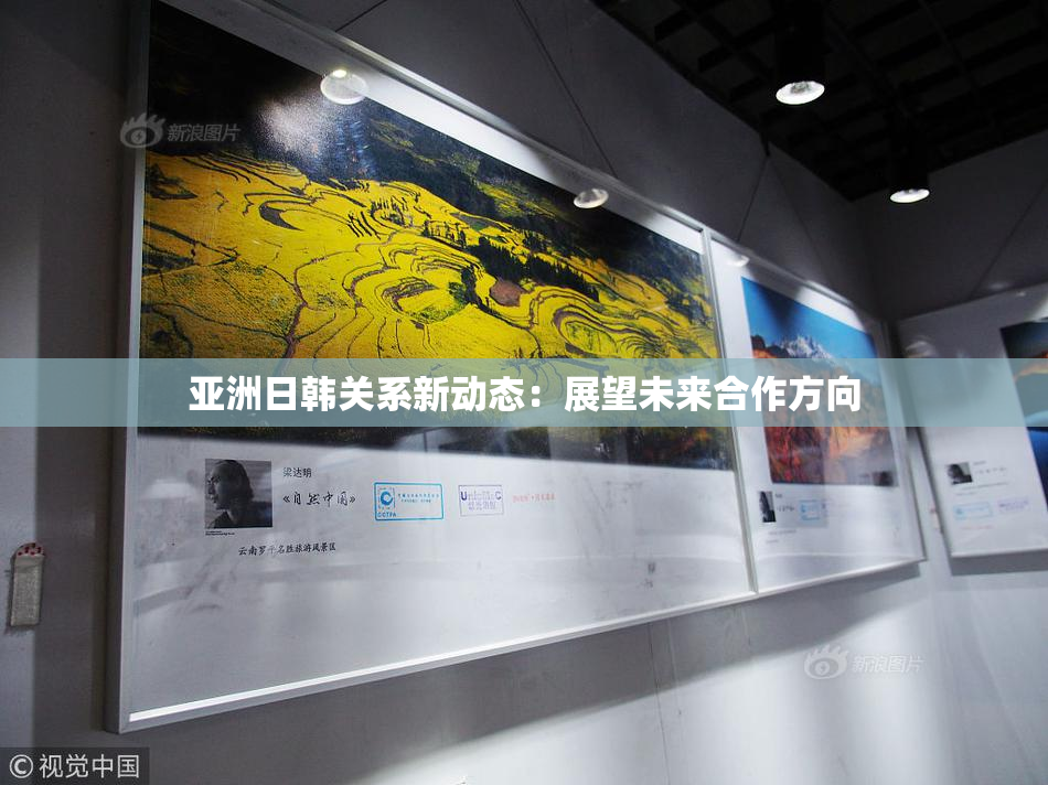 亚洲日韩关系新动态：展望未来合作方向