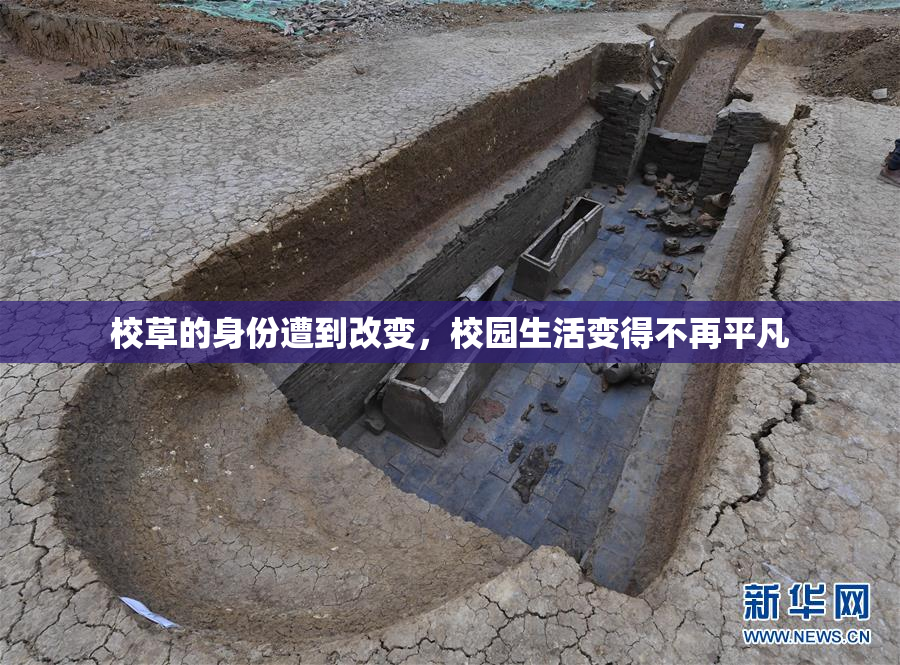 校草的身份遭到改变，校园生活变得不再平凡