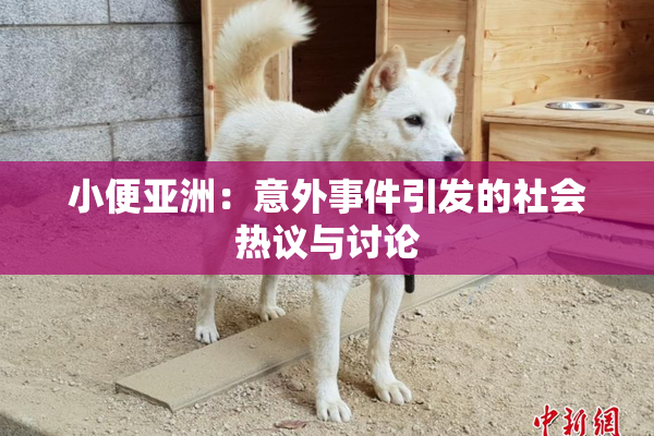 小便亚洲：意外事件引发的社会热议与讨论