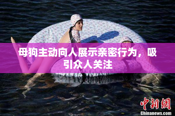 母狗主动向人展示亲密行为，吸引众人关注