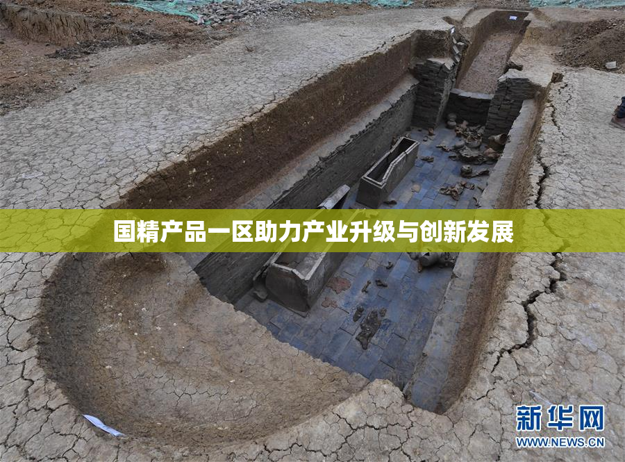 国精产品一区助力产业升级与创新发展