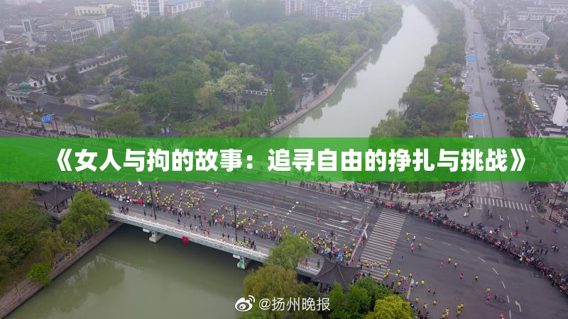 《女人与拘的故事：追寻自由的挣扎与挑战》