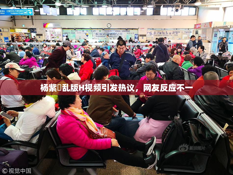 杨紫婬乱版H视频引发热议，网友反应不一