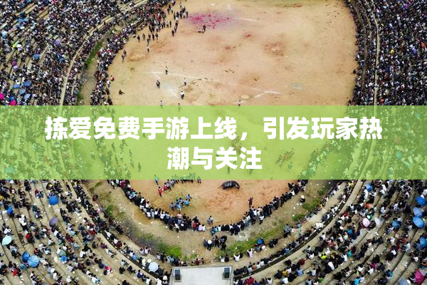 拣爱免费手游上线，引发玩家热潮与关注