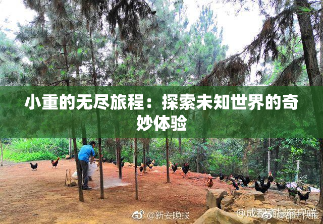 小重的无尽旅程：探索未知世界的奇妙体验