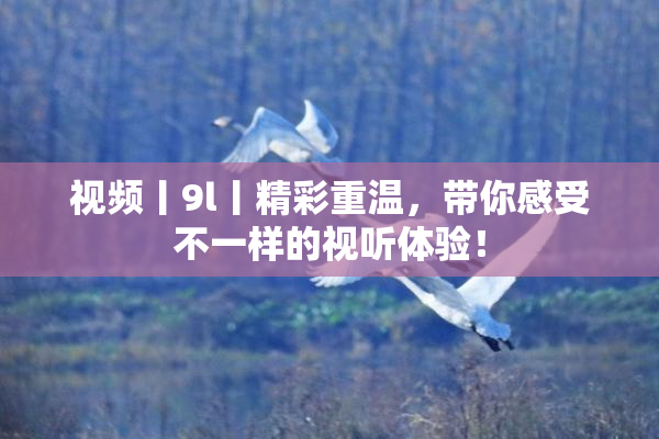 视频丨9l丨精彩重温，带你感受不一样的视听体验！