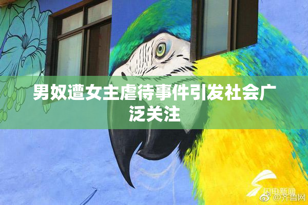 男奴遭女主虐待事件引发社会广泛关注