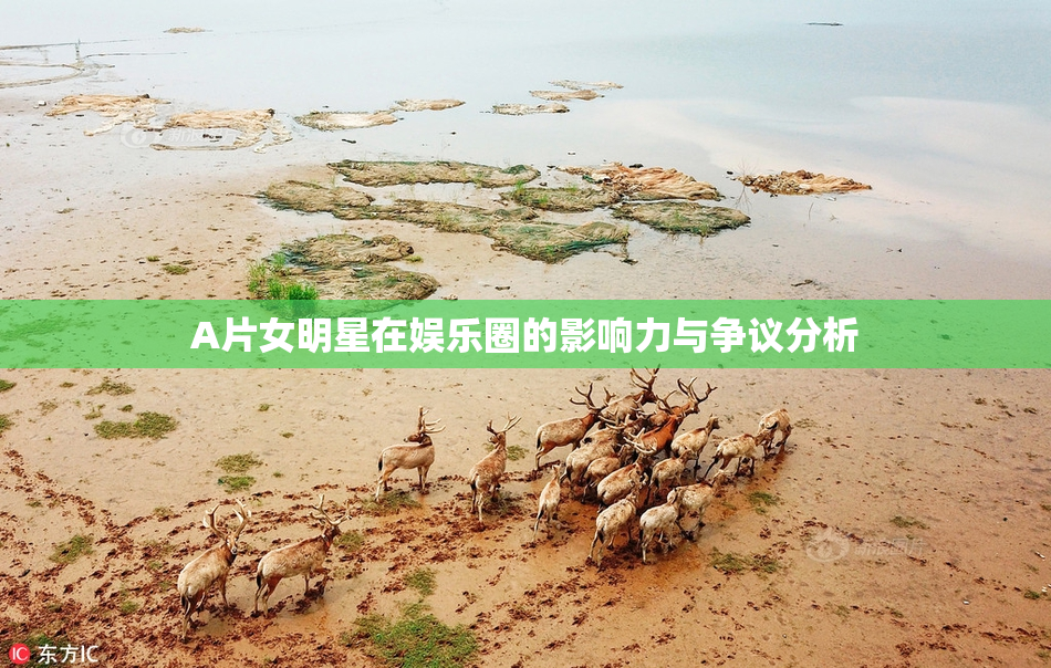 A片女明星在娱乐圈的影响力与争议分析