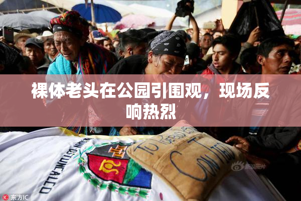 裸体老头在公园引围观，现场反响热烈