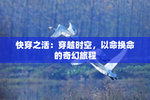 快穿之活：穿越时空，以命换命的奇幻旅程