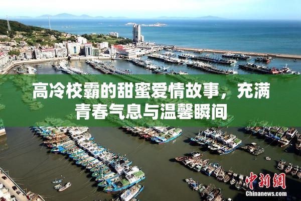 高冷校霸的甜蜜爱情故事，充满青春气息与温馨瞬间