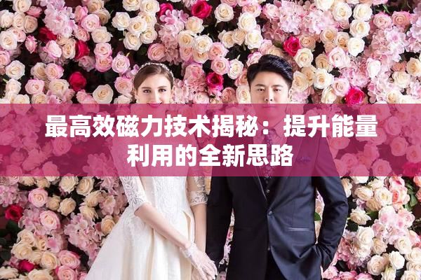 最高效磁力技术揭秘：提升能量利用的全新思路