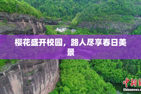樱花盛开校园，路人尽享春日美景