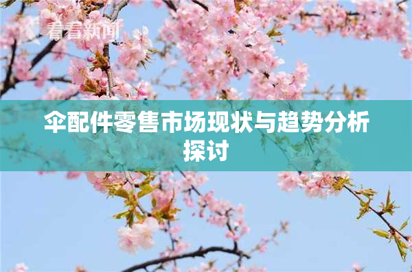 伞配件零售市场现状与趋势分析探讨