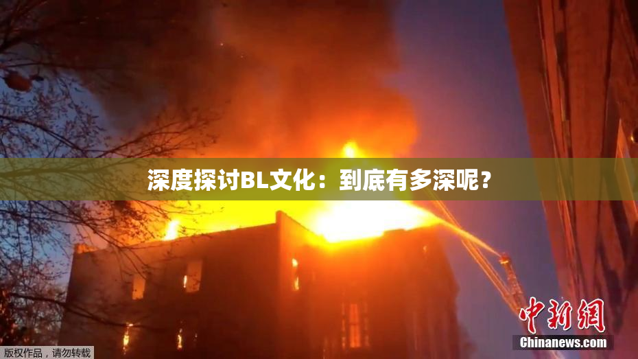 深度探讨BL文化：到底有多深呢？