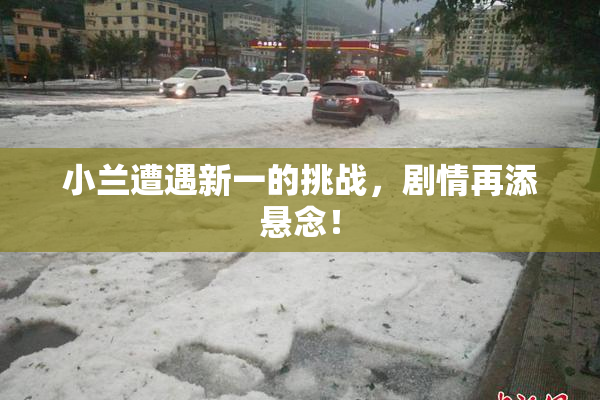 小兰遭遇新一的挑战，剧情再添悬念！