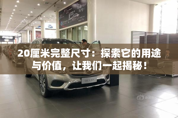 20厘米完整尺寸：探索它的用途与价值，让我们一起揭秘！