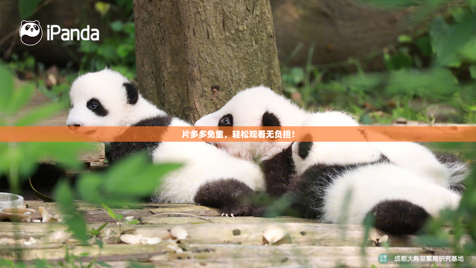 片多多免重，轻松观看无负担！