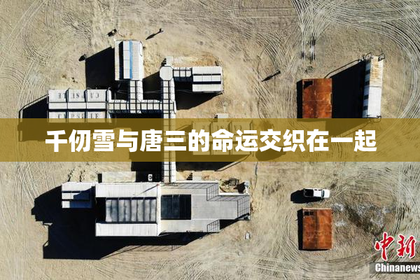 千仞雪与唐三的命运交织在一起