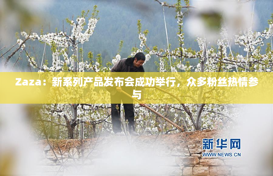 Zaza：新系列产品发布会成功举行，众多粉丝热情参与