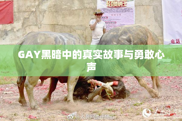 GAY黑暗中的真实故事与勇敢心声