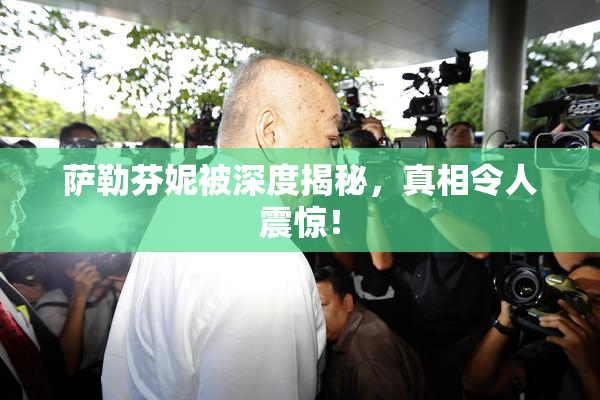 萨勒芬妮被深度揭秘，真相令人震惊！