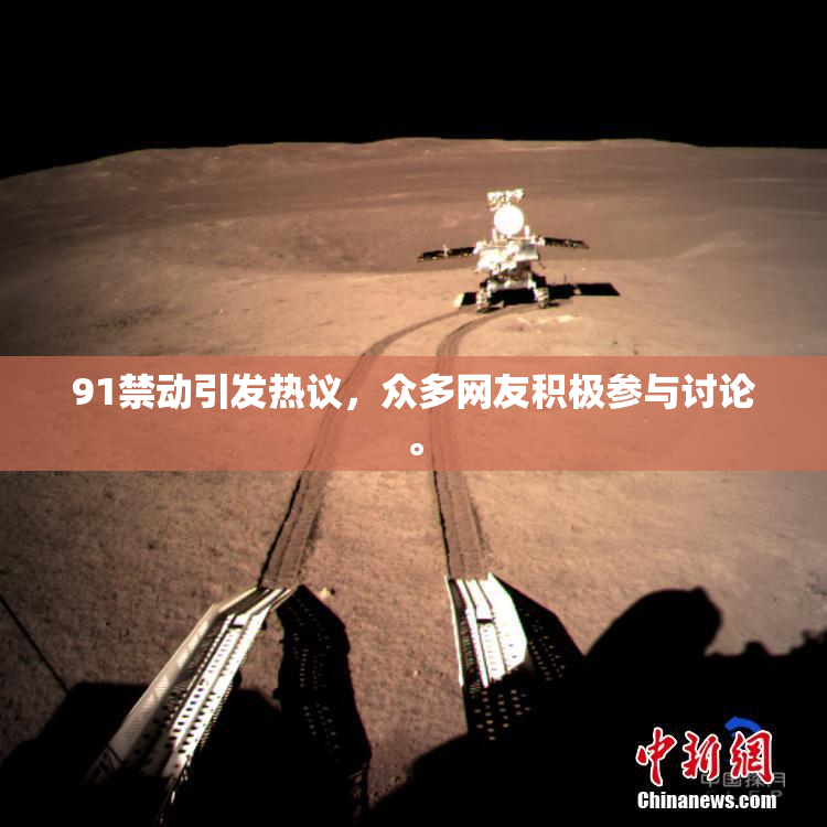 91禁动引发热议，众多网友积极参与讨论。