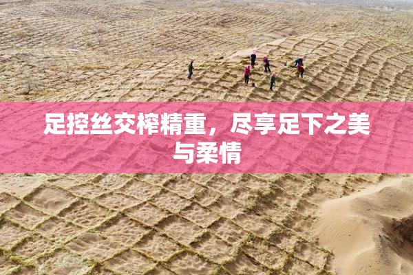 足控丝交榨精重，尽享足下之美与柔情