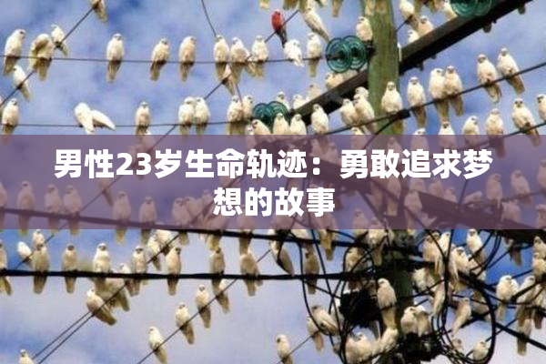 男性23岁生命轨迹：勇敢追求梦想的故事
