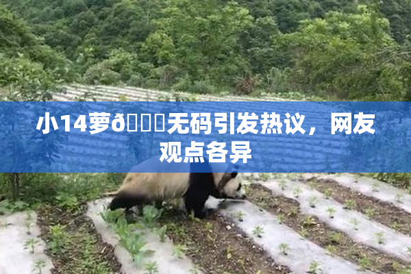 小14萝🔞无码引发热议，网友观点各异