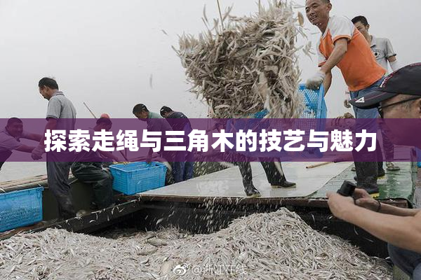 探索走绳与三角木的技艺与魅力