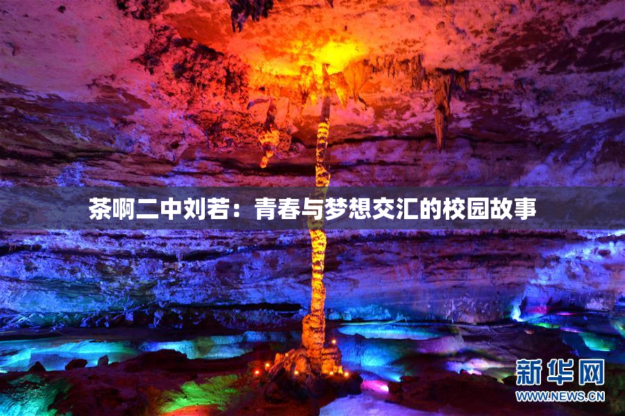 茶啊二中刘若：青春与梦想交汇的校园故事