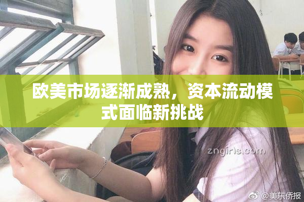 欧美市场逐渐成熟，资本流动模式面临新挑战