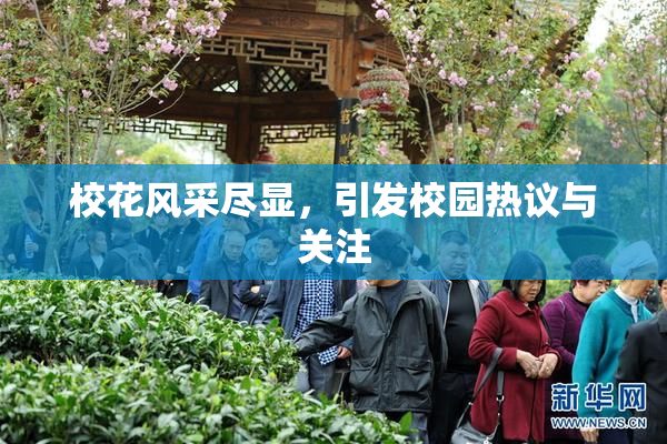 校花风采尽显，引发校园热议与关注