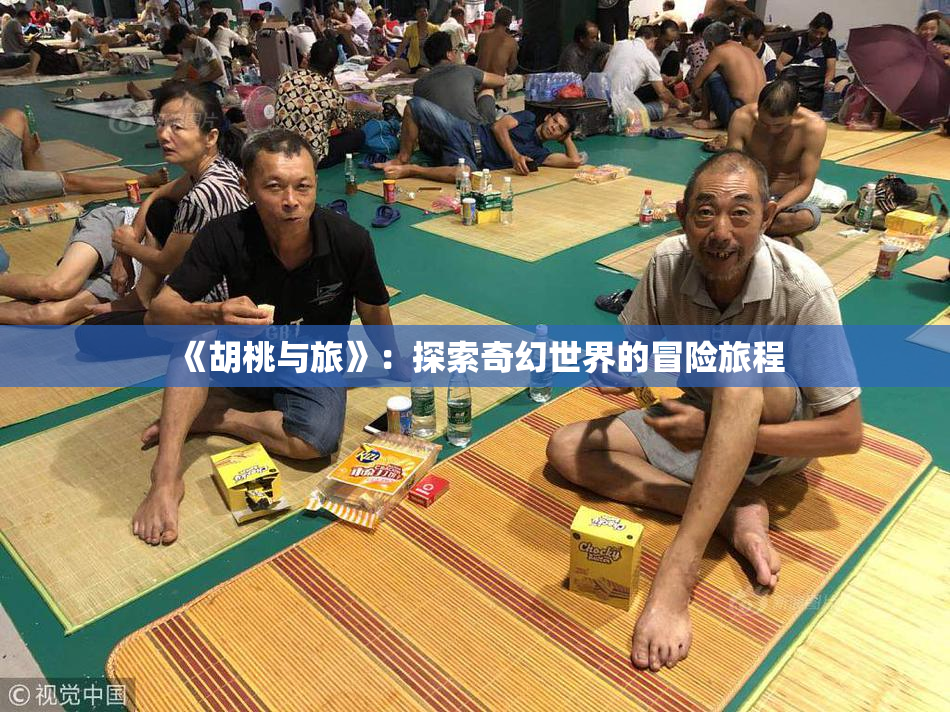 《胡桃与旅》：探索奇幻世界的冒险旅程