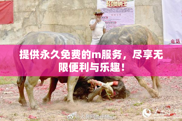 提供永久免费的m服务，尽享无限便利与乐趣！