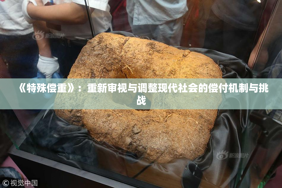 《特殊偿重》：重新审视与调整现代社会的偿付机制与挑战