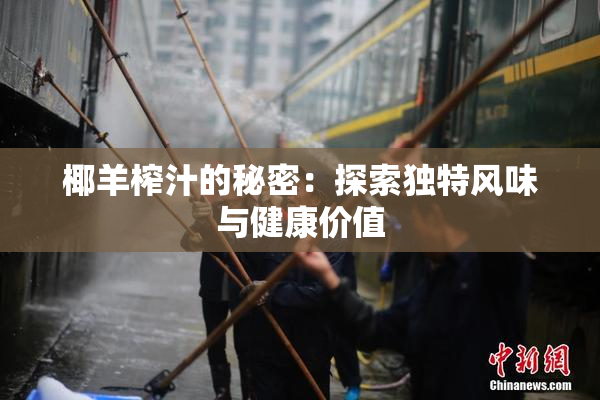 椰羊榨汁的秘密：探索独特风味与健康价值