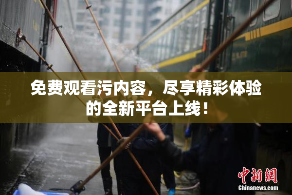 免费观看污内容，尽享精彩体验的全新平台上线！