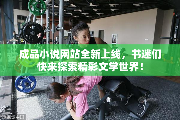 成品小说网站全新上线，书迷们快来探索精彩文学世界！