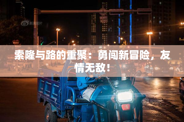 索隆与路的重聚：勇闯新冒险，友情无敌！